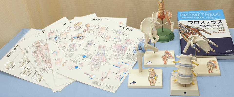 しらゆり整骨院の特徴